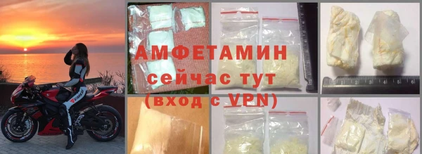 индика Карпинск