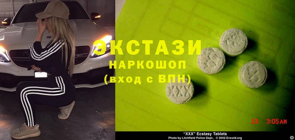 индика Карпинск