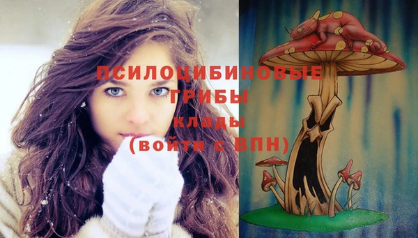мдма Касимов