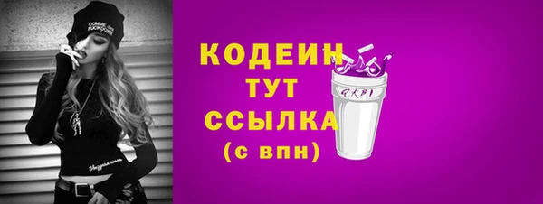 индика Карпинск