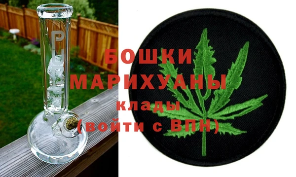 индика Карпинск