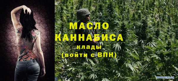 индика Карпинск