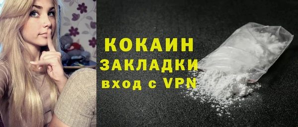 индика Карпинск