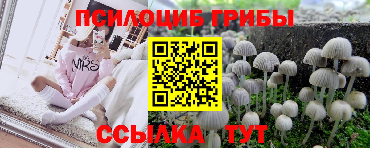 Краснотурьинск  Галлюциногенные грибы GOLDEN TEACHER  Галлюциногенные грибы Cubensis  Вход с VPN 